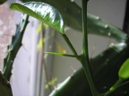 p3086222